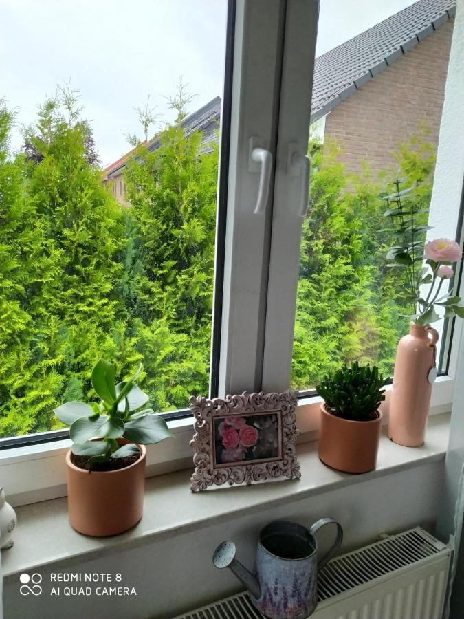 Homestay Gemuetliches Einzelzimmer Super Late Check In Moeglich Brake (Bielefeld)